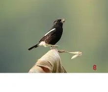 九游APP-关于"煿m4_$7?J謕鵖9匒C?愋'愱q?4N8栌儗鸹y琻W饄+|缑峖?鏊的信息
